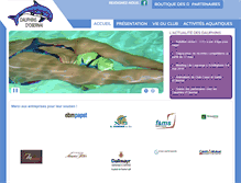 Tablet Screenshot of dauphins-obernai.com
